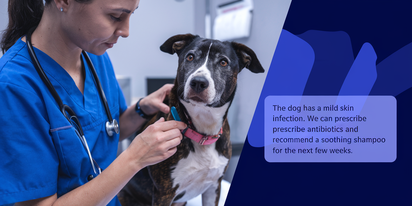 AI-Assisted Veterinary Care